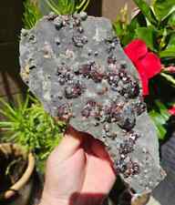 2025g Sphalerite/Garnet/Sparkly/All Natural Mineral/Fujian, China picture