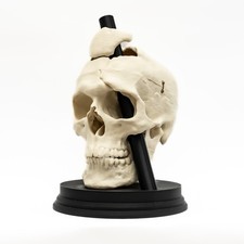 Phineas Gage Skull Replica Life Size Neuroscience Psychology Brain Injury Model picture