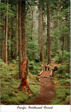 Postcard Hikers Dwarfed by Forest of the Pacific Northwest WA Washington   L-110 picture