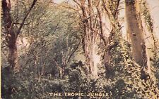 Uganda Roosevelt Hunting Tour Tropic Jungle Safari Athi Masai Vtg Postcard A42 picture