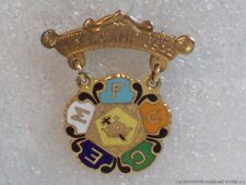 Vintage Royal Neighbors of America Enamel Pin Hope Camp 8922 Carbondale IL picture