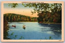 Postcard Canoeing on the Allagash River, Maine linen P127 picture
