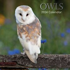 2024 Square Wall Calendar, Owls, 16-Month Animals Theme 180 Stickers 12x12