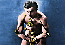HOUDINI IN CHAINS - REFRIGERATOR PHOTO MAGNET picture