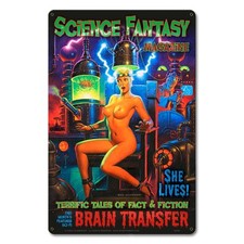 Vintage Style Metal Pinup Sign  BRAIN TRANSFER 12x18 picture