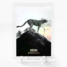 CHEETAH The Serengeti Card 2023 GleeBeeCo Holo Creatures #CHTH picture