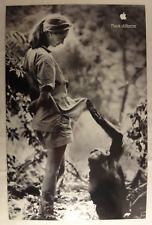 Apple Think Different Jane Goodall Poster 11”x17” Chimpanzee Laminated Pinholes picture