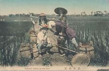 JAPAN - Laborers Resting In Rice Field Postcard picture
