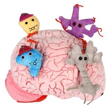 GIANT MICROBES Deluxe 9.5 Brain Plush, Includes Hidden Cells & Neurons picture