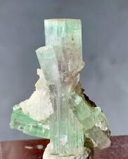 25 Cts Top Quality Bi Color Tourmaline Crystal Bunch Specimen From Afghanistan picture
