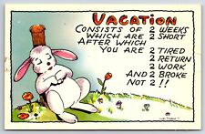 Comic Humor c1950 Vacation Consists Of... Bunny Rabbit Colourpicture Postcard picture