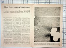 Vintage Science Article Genetic Transformation DNA Microbiology Alexander Tomasz picture