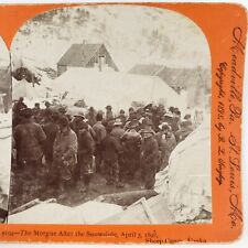 Sheep Camp Alaska Morgue Stereoview 1898 Klondike Gold Rush Chilkoot Trail A2360 picture