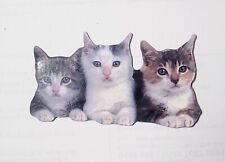 Three Cute Kittens Refrigerator Magnet Photo Novelty  picture