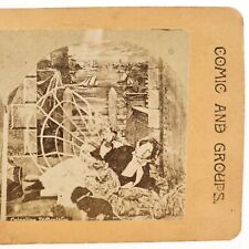 Fallen Woman Crinoline Disaster Stereoview c1885 Fashion Humor Lady Dress H1312 picture