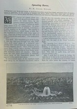1898 Australia Spouting Bores Geysers illustrated picture