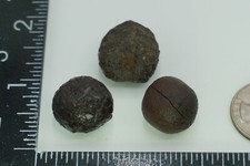 Tibetan Trifecta - 39g - Pyrite Concretion (Highest Plateau Shaman) #bog6. picture