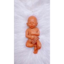 18 Weeks Baby Fetus, Stage of Fetal Development (Memorial/Miscarriage/Keepsake) picture