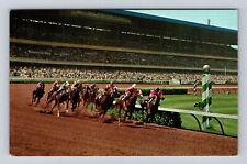 Inglewood CA-California, Hollywood Park, Racing, Antique Vintage Postcard picture
