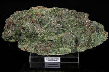 CHROME DIOPSIDE crystal specimen rough raw 2.11 LBS emerald stone #1365T - ITALY picture