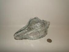 Clear Glass Conch Sea Shell, 8 3/4
