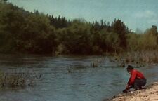 American River California CA Man Panning For Gold Vintage Postcard picture