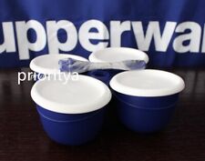 Tupperware Everyday Essentials Condiment Holder Caddy w/ Seal Indigo Blue New picture