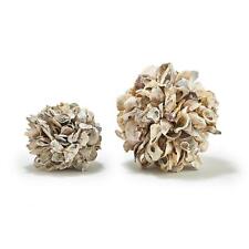 Two's Company Oyster Shells Decorative Ball Assorted 2 Sizes: 9