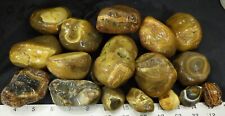rm69 - Black River Agates - Argentina - 6.0 lbs - FREE US SHIPPING #1868 picture