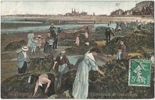 Shellfish Harvest Seaweed Rocks Dieppe Beach France French Occupational Postcard picture