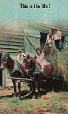 Vintage Postcard This Is The Life Typical Farming Transportation picture