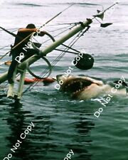 8x10 Jaws 1975 PHOTO photograph picture print roy scheider brody shark attack picture