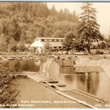 c1930s Bonneville, OR RPPC Fish Hatchery Real Photo Postcard Cross Dimmitt A97 picture