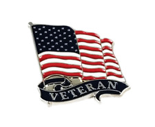 Deluxe Silver Veteran USA flag hat lapel pin Veteran's Day Military LPH7324SLV picture
