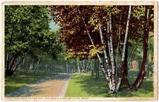 MOUNT TOM, Near HOLYOKE, MA Path to the Zoo Mountain Park Massachusetts Postcard picture