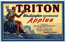 Triton Brand, Washington **AN ORIGINAL DEHYDRATED APPLE LABEL* 105, 25lbs picture