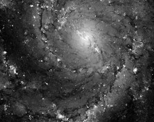 STAR FORMATION PINWHEEL GALAXY HUBBLE TELESCOPE 11x14 GLOSSY PHOTO PRINT picture