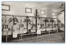 c1910's The Baby Incubator Pacific Exposition Seattle Washington WA Postcard picture