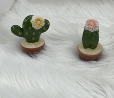 Southwestern Cactus Salt & Pepper Shakers Set Novelty Desert Flower picture