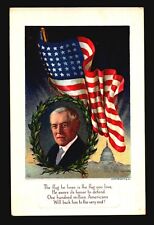 US Early 1900s Woodrow Wilson & Flag PPC / Not Used - Z18133 picture