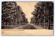 c1905 The Boulevard Dirt Road And Trees Houston Heights Texas TX Tuck's Postcard picture