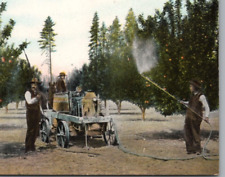 Pesticide Spraying Apple Trees Oregon Postcard picture