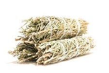 NessaStores- Rosemary Smudge Incense 4" Bundle (3 pcs) #JC-110 picture