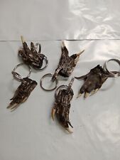 Alligator Foot Keychain Nail Cleaners New picture