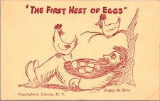 Comic Humor~First Nest of Eggs~Henery N. Kost Signed Postcard picture