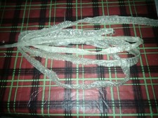 snake shed  for your art or to pull a trick on people or your snake picture