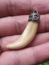 15.50 Carats Lion's Genuine Tooth Pendant 1.55 Inches From Africa  picture