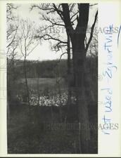 1989 Press Photo A Lookout Point at High Rock Park, Egbertville - sia01716 picture