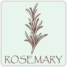 3in x 3in Rosemary Vinyl Sticker Car Truck Vehicle Bumper Decal picture