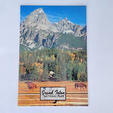Grand Teton Peak National Park Wyoming WY Horses Pine Trees Postcard Unposted picture